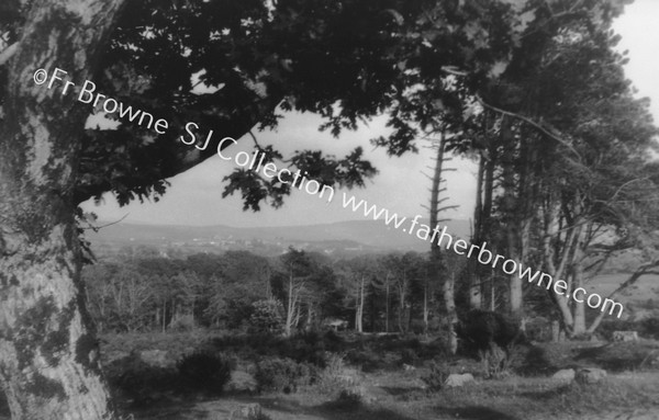 CARNDONAGH FROM DIVERS' COTTAGE